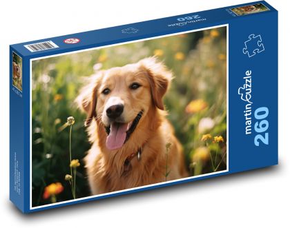Dog - animal in the meadow, pet - Puzzle 260 pieces, size 41x28.7 cm 