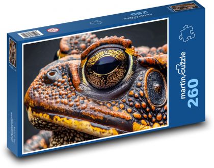 Žába - obojživelník, zvíře - puzzle 260 dílků