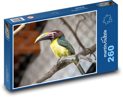 Sediaci tukan na pobočke - Puzzle 260 dielikov, rozmer 41x28,7 cm