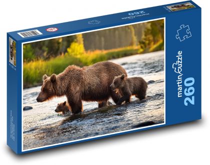 Miś z młodymi w rzece - Puzzle 260 elementów, rozmiar 41x28,7 cm
