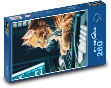 Die Katze arbeitet am Computer Puzzle 260 Teile - 41 x28,7 cm