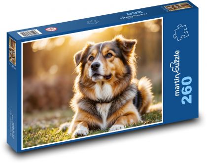 Pes pri západe slnka. - Puzzle 260 dielikov, rozmer 41x28,7 cm