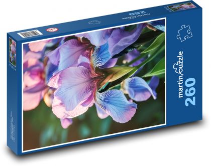 Kvetoucí fialový kosatec  - Puzzle 260 dílků, rozměr 41x28,7 cm