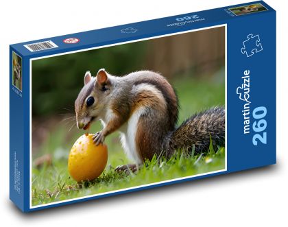 Wiewiórka  z jedzeniem - Puzzle 260 elementów, rozmiar 41x28,7 cm