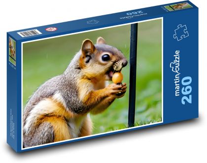 Veverička s občerstvením - Puzzle 260 dielikov, rozmer 41x28,7 cm