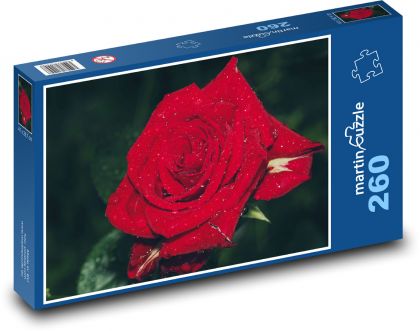 Rote Rose mit Morgentau - Puzzle - 260 Teile