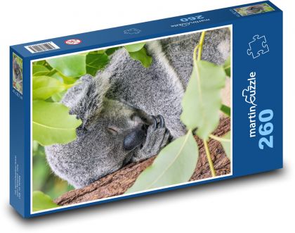Medveď koala spí na strome - Puzzle 260 dielikov, rozmer 41x28,7 cm