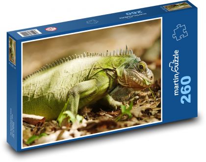 Zelený leguán - puzzle 260 dílků