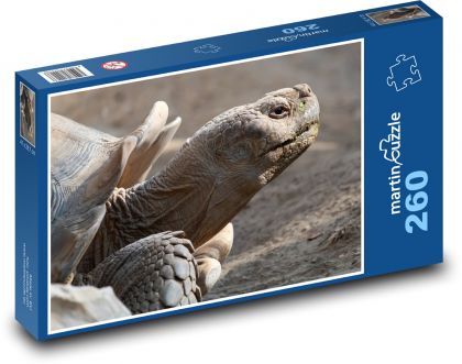 Obrovská želva - puzzle 260 dílků