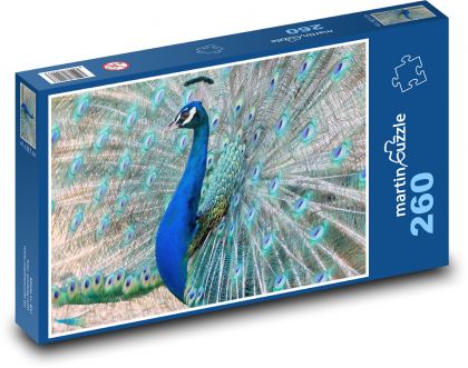 Pfau - Vogel - Puzzle - 260 Teile