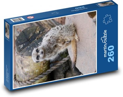 Surikata v zoo - Puzzle 260 dílků, rozměr 41x28,7 cm