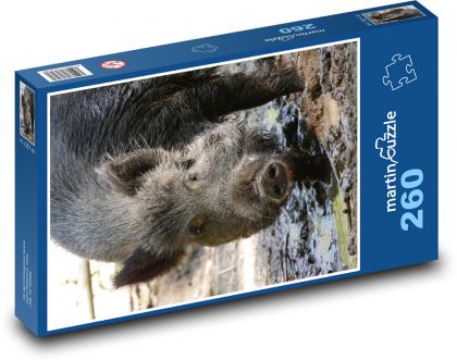 Diviak v blate - Puzzle 260 dielikov, rozmer 41x28,7 cm