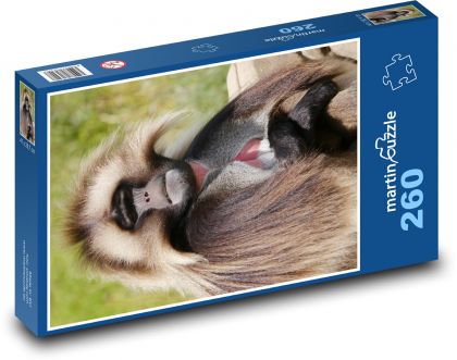 Želé - pavián, opica - Puzzle 260 dielikov, rozmer 41x28,7 cm
