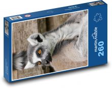 Lemur - primát Puzzle 260 dílků - 41 x 28,7 cm