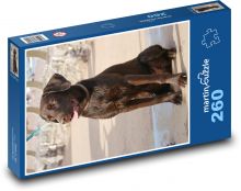Labrador - Welpe Puzzle 260 Teile - 41 x28,7 cm