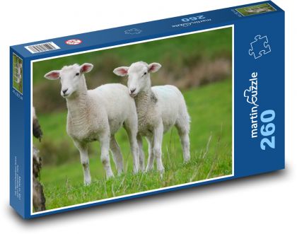 Lämmer auf der Weide - Puzzle - 260 Teile