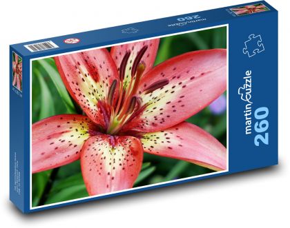 Rote Lilie - Blume, Pflanze - Puzzle - 260 Teile