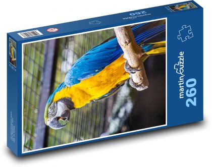 Papuga - ptak, zoo - Puzzle 260 elementów, rozmiar 41x28,7 cm