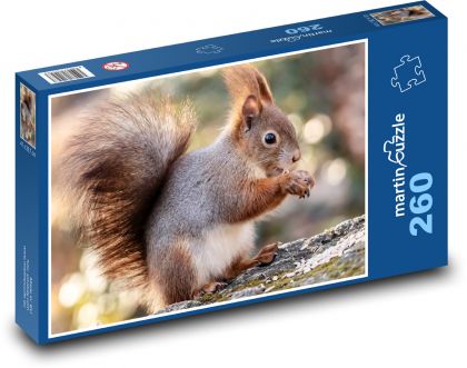 Veverička - zviera, hlodavec - Puzzle 260 dielikov, rozmer 41x28,7 cm