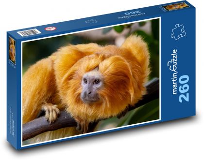 Tamarin - monkey - Puzzle 260 pieces, size 41x28.7 cm 
