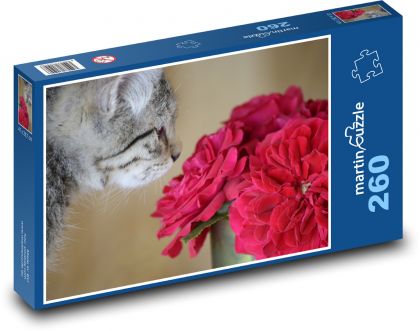 Cat and red flower - Puzzle 260 pieces, size 41x28.7 cm 