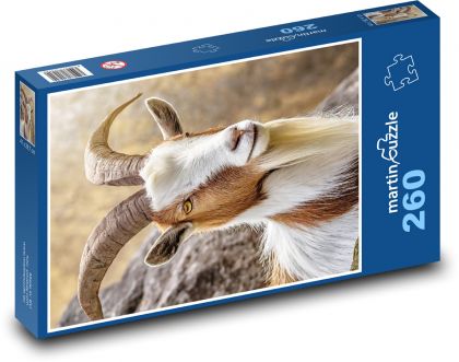 Koza s velkými rohy - Puzzle 260 dílků, rozměr 41x28,7 cm