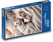 Biele myši v posteli Puzzle 260 dielikov - 41 x 28,7 cm