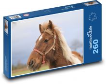Braunes Pferd Puzzle 260 Teile - 41 x28,7 cm