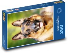 Pes - německý ovčák Puzzle 260 dílků - 41 x 28,7 cm