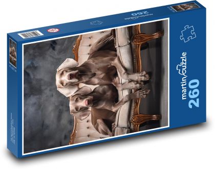 Pes - Weimarský stavač - Puzzle 260 dielikov, rozmer 41x28,7 cm
