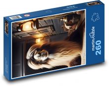 Velbloud Puzzle 260 - 41x28,7 cm