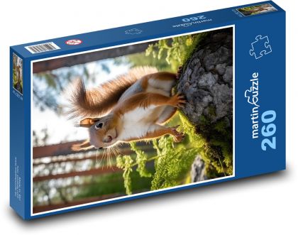 Eichhörnchen. - Puzzle - 260 Teile