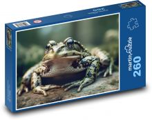 Zelená žába  Puzzle 260 - 41x28,7 cm
