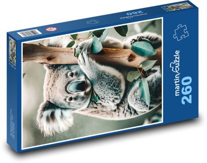 Koala na stromě - Puzzle 260 dílků, rozměr 41x28,7 cm