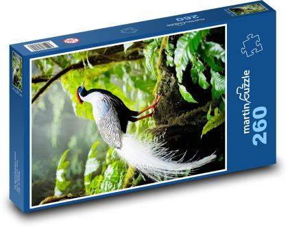 Strieborný bažant - Puzzle 260 dielikov, rozmer 41x28,7 cm