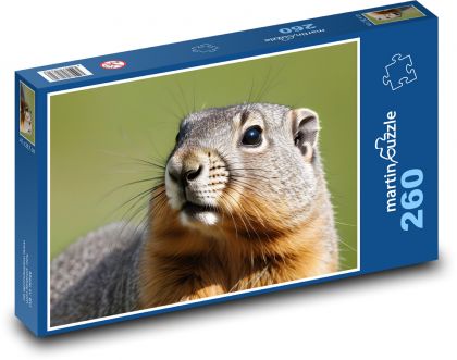 Svišť - puzzle 260 dílků