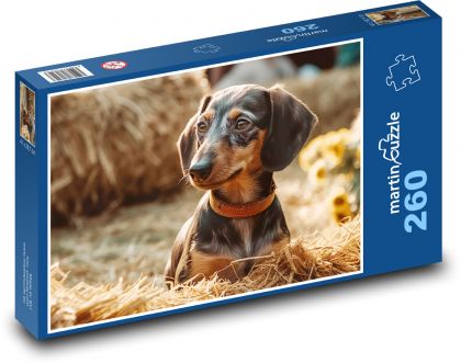 Pies - jamnik - Puzzle 260 elementów, rozmiar 41x28,7 cm