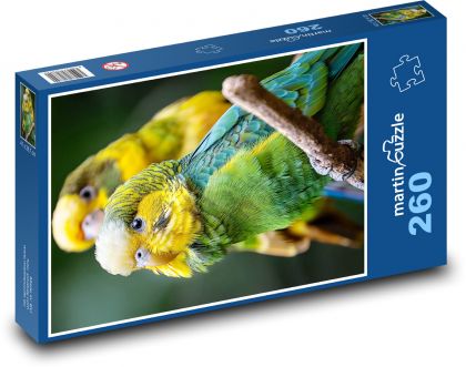Wellensittiche - Puzzle - 260 Teile