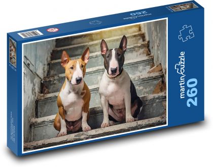 Býčí teriér - pes - Puzzle 260 dielikov, rozmer 41x28,7 cm