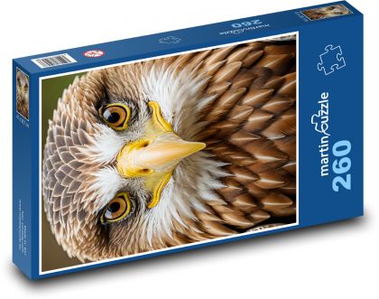 Pfauenfantasie - Puzzle - 260 Teile