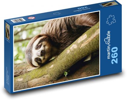 Leniwiec fantasy - Puzzle 260 elementów, rozmiar 41x28,7 cm