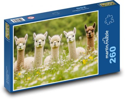Alpakas im Gras - Puzzle - 260 Teile