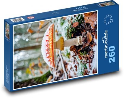 Muchomůrka v zimě - puzzle 260 dílků