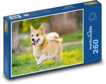 Pes - šteňa Puzzle 260 dielikov - 41 x 28,7 cm 
