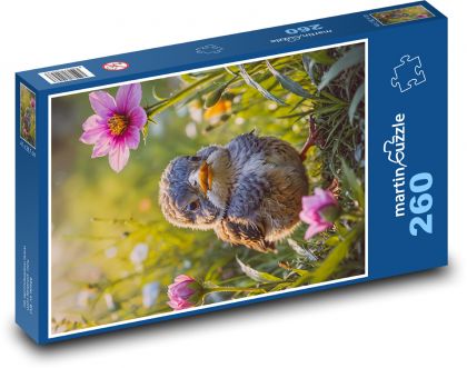 Pták na jaře - puzzle 260 dílků