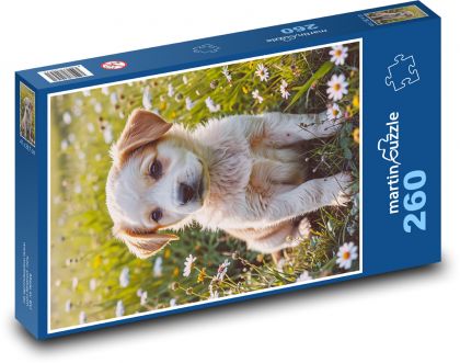 Hund - Welpe - Puzzle - 260 Teile