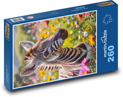 Zebra - Puzzle 260 dielikov, rozmer 41x28,7 cm