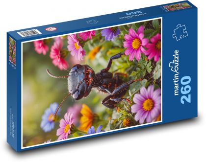 Mravec - Puzzle 260 dielikov, rozmer 41x28,7 cm