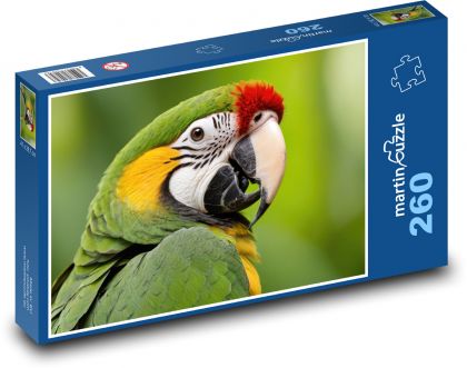 Papagáj - vták - Puzzle 260 dielikov, rozmer 41x28,7 cm