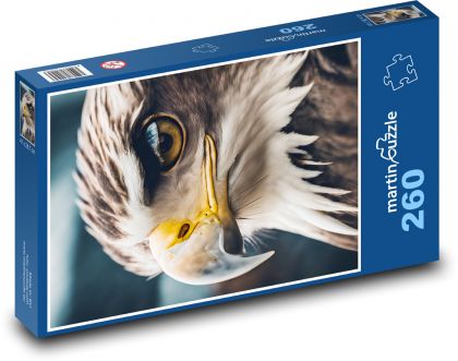 Adler - Vogel - Puzzle - 260 Teile